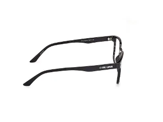 Harley Davidson Eyeglasses HD0950