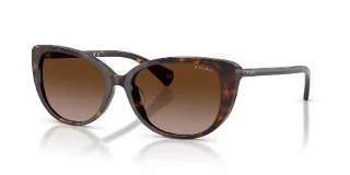 500313 Shiny Dark Havana