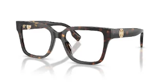 1981 Brown Tortoise