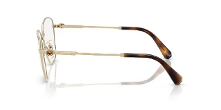 Swarovski Eyeglasses SK1019