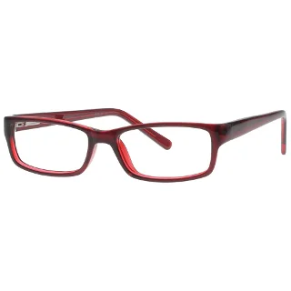 Stylewise Eyeglasses SW340