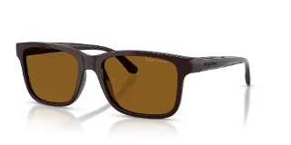 302783 Chocolate