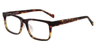 Havana Olive Gradient (0Oli)