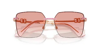 Dolce & Gabbana Sunglasses DG2332B