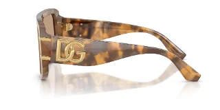 Dolce & Gabbana Sunglasses DG4565