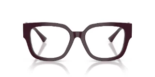 Jimmy Choo Eyeglasses JC3042B