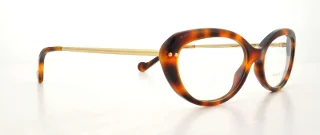Ralph Lauren Eyeglasses RL6076W