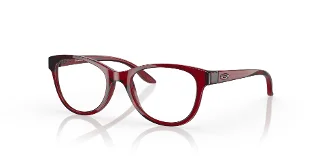 802202 Polished Transparent Brick Red