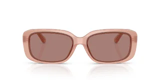 Coach Sunglasses HC8444D