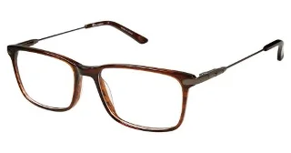 Champion Eyeglasses 2022