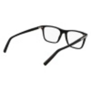 Salvatore Ferragamo Eyeglasses SF2959N