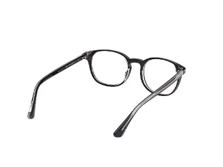 Web Eyeglasses WE5441