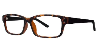 Tortoise/Black Matte