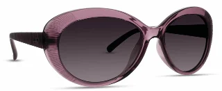 INVU Sunglasses INVU-117