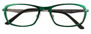 Takumi Eyeglasses TK928