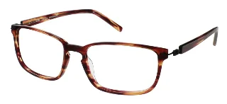 Brown Horn