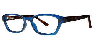 navy/tortoise