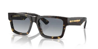 16R30F Black Malt Tortoise