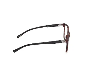 Harley Davidson Eyeglasses HD50095