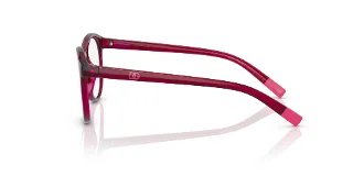 Dolce & Gabbana Eyeglasses DX5095