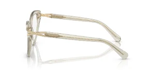 Swarovski Eyeglasses SK2030