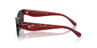 Coach Sunglasses HC8420U