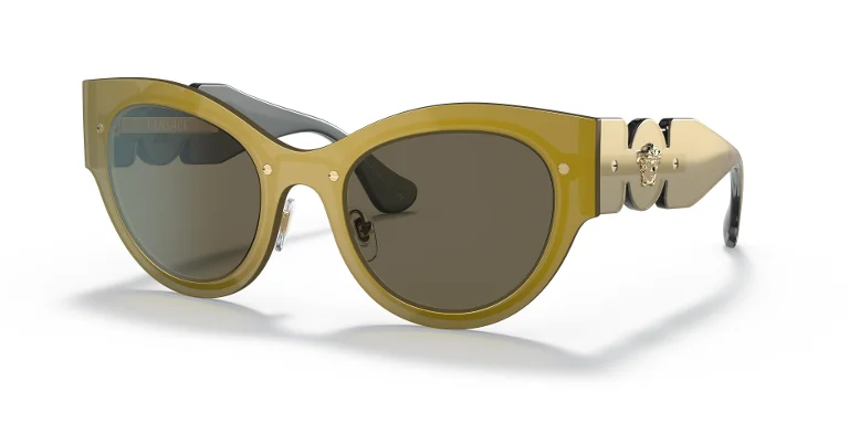 Versace Sunglasses VE2234