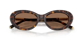 Dolce & Gabbana Sunglasses DG4519