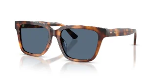 635580 Shiny Tortoise