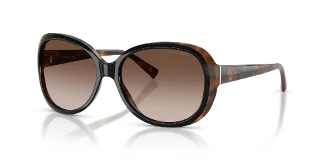 504913 Black Havana