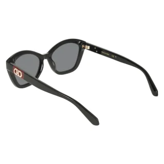 Salvatore Ferragamo Sunglasses SF2119S