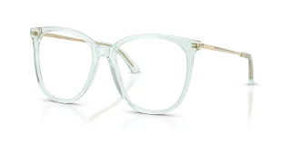 Jimmy Choo Eyeglasses JC3060