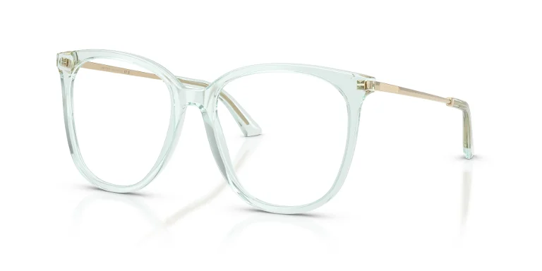 Jimmy Choo Eyeglasses JC3060