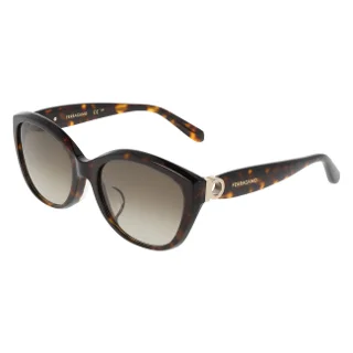 242 Dark Tortoise