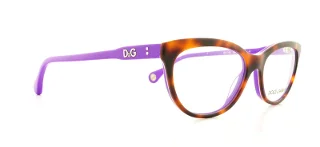 D&G Eyeglasses DD1245