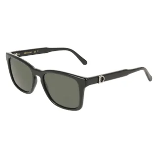 Salvatore Ferragamo Sunglasses SF2086SE