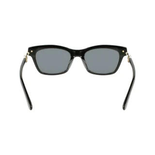 Salvatore Ferragamo Sunglasses SF2019SLB