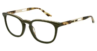 C0104 Olive