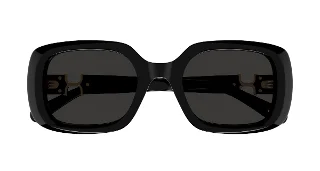 Chloe Sunglasses CH0333S