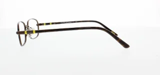 Polo Eyeglasses PP8031