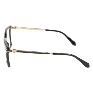 Salvatore Ferragamo Eyeglasses SF3039