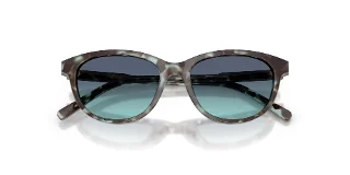 Dolce & Gabbana Sunglasses DX4010