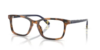 6089 Shiny Tortoise