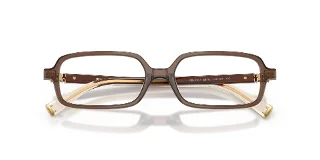 Miu Miu Eyeglasses MU01YVF