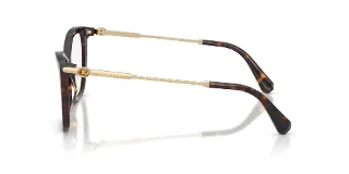 Swarovski Eyeglasses SK2051