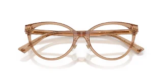 Jimmy Choo Eyeglasses JC3047F