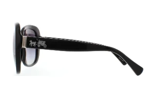 Coach Sunglasses HC8158 L139