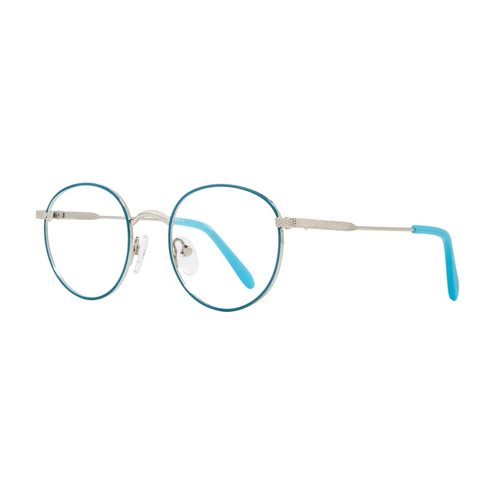 Stylewise Eyeglasses SW534