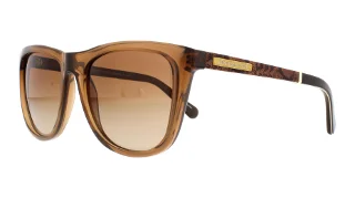 301113 Brown Snake