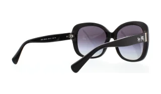 Coach Sunglasses HC8158 L139